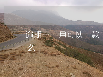 逾期一個月可以還款嗎(還款逾期一個月會怎么樣)