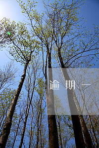 逾期一個月多少滯納金(逾期一天滯納金多少)