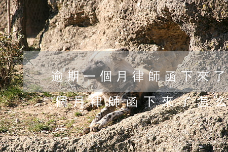 逾期一個月律師函下來了怎么辦呢-逾期一個月律師函下來了怎么辦呢