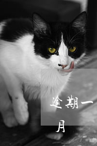 逾期一個月會對個人有什么影響-逾期一個月會對個人有什么影響嗎