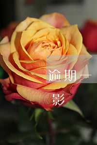 逾期一個月會影響房貸嗎(一次逾期對房貸有影響嗎)