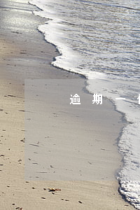 逾期一個月能不能停息掛賬