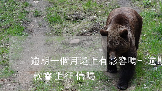 逾期一個月還上有影響嗎-逾期一個月后還款會上征信嗎