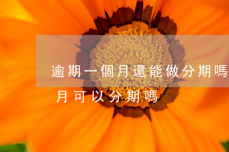 逾期一個月還能做分期嗎（信用卡逾期了一個月可以分期嗎）