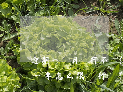 逾期一個月銀行不協(xié)商(貸款逾期一年怎么跟銀行協(xié)商)