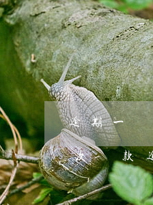 逾期一兩天影響貸款嗎(一年內(nèi)兩次貸款逾期有什么影響嗎)