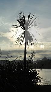 逾期一兩天有問題嗎(逾期一兩天會不會上征信)