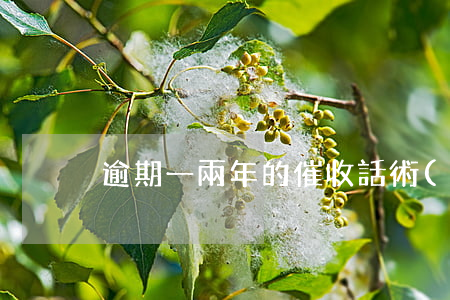 逾期一兩年的催收話術(shù)