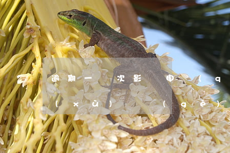 逾期一兩次影響申請(qǐng)房貸(連續(xù)兩個(gè)月逾期會(huì)影響房貸么)