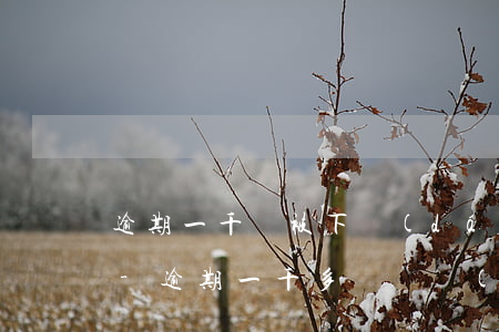 逾期一千塊被下達(dá)支付令是真的嗎-逾期一千多塊錢會(huì)被起訴嗎