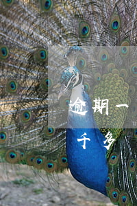 逾期一千多塊會起訴到中級法院嘛-逾期一千多塊會起訴到中級法院嘛
