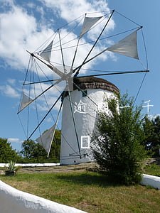 逾期一千多天怎么還款(一千元逾期一天多少錢)