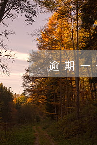 逾期一千收到律師函(逾期寄律師函怎么辦呢)