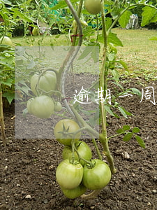 逾期一周是什么意思？解释含义与影响