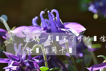 逾期一周還完了可以辦信用卡嗎(逾期一年還能辦信用卡嗎)