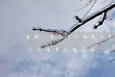 逾期一天上了征信怎么申请消除-逾期一天上征信多久能消除