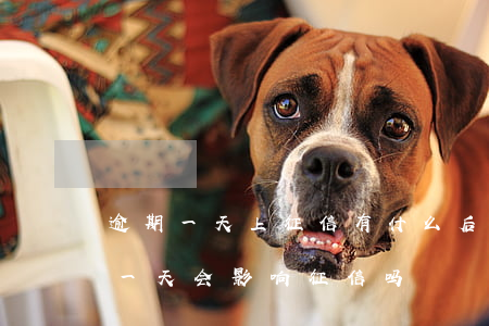 逾期一天上征信有什么后果（信用卡逾期逾期一天会影响征信吗）