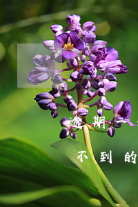 逾期一天不到的逾期可以消除嗎-逾期一天不到的逾期可以消除嗎