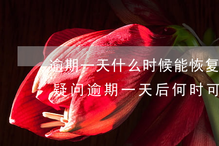 逾期一天什么时候能恢复正常征信，解答你的疑问：逾期一天后，何时可以恢复正常征信？