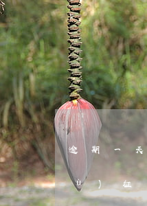 逾期一天什么時(shí)候可以恢復(fù)征信-逾期一天什么時(shí)候可以恢復(fù)征信記錄
