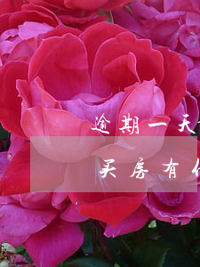逾期一天会影响贷款买房吗（借款逾期一天对买房有什么影响吗）