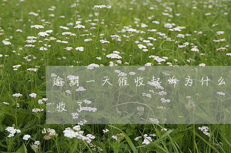 逾期一天催收起诉(为什么逾期一个月就被催收了)