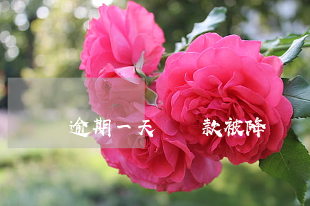 逾期一天剛還款被降額(貸款還款逾期一天)