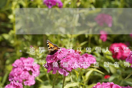 逾期一天可以做個人征信報告嗎-逾期一天可以做個人征信報告嗎有影響嗎