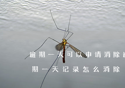 逾期一天可以申请消除逾期记录吗（信用卡逾期一天记录怎么消除）