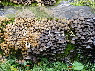 逾期一天后怎么還款(還款日后一天還款算逾期嗎)
