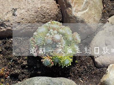 逾期一天后立刻還款(晚一天還款算逾期還款)
