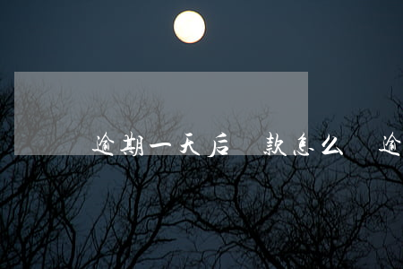 逾期一天后還款怎么辦(逾期還款一天會怎么樣)