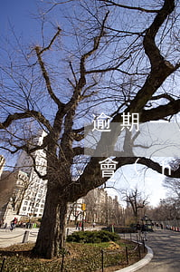 逾期一天就會(huì)上征信(逾期一天就會(huì)上征信嗎)