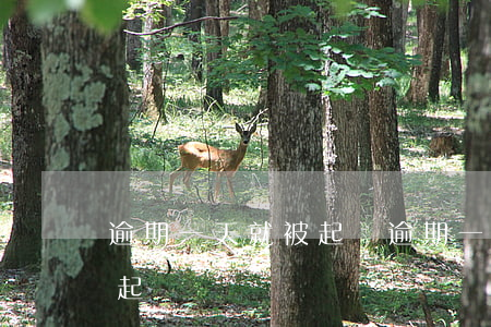 逾期一天就被起訴(逾期一周會(huì)被起訴嗎)