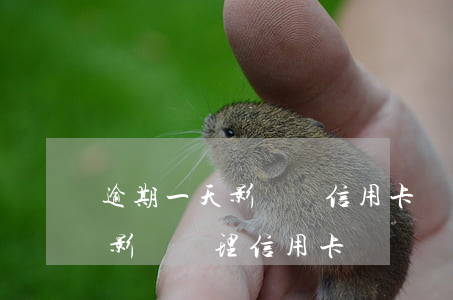 逾期一天影響辦信用卡嗎(逾期會(huì)影響辦理信用卡嗎)
