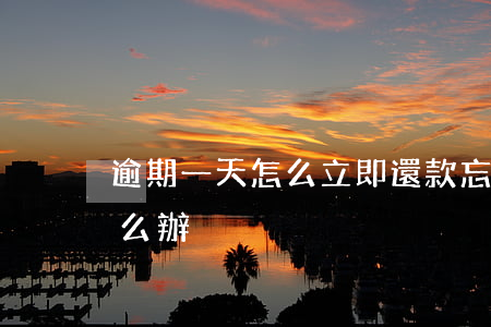 逾期一天怎么立即還款(忘記還款逾期一天怎么辦)