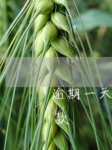 逾期一天怎么自動還款(貸款逾期一天怎么還款)