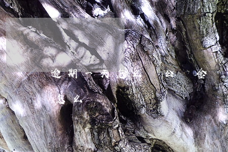 逾期一天怎么辦(公積金貸款忘記了逾期一天怎么辦)