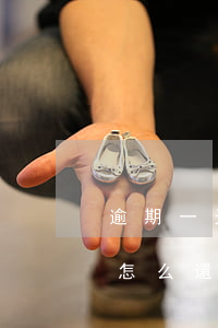 逾期一天怎么還貸款利息(住房貸款逾期一天怎么還款)