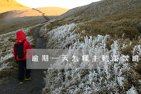 逾期一天怎樣主動還款(逾期一天怎么還款)