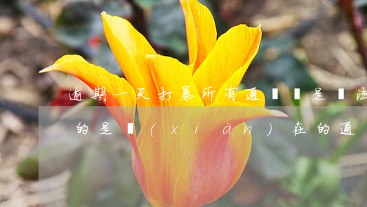 逾期一天打暴所有通訊錄是違法嗎-逾期暴的是現(xiàn)在的通訊錄嗎
