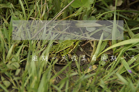 逾期一天收五百（逾期一天收五百）