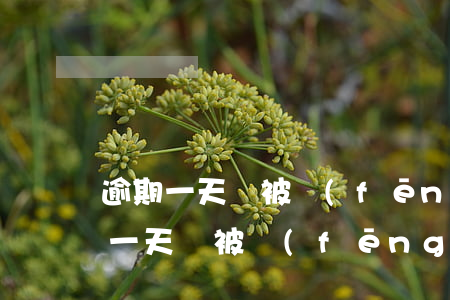 逾期一天會被風(fēng)控嗎微信（逾期一天會被風(fēng)控嗎）