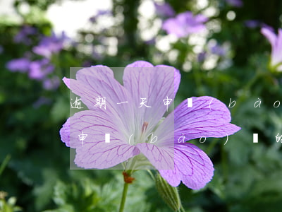 逾期一天申報(bào)稅的后果，逾期一天申報(bào)稅的嚴(yán)重后果，你不可不知！
