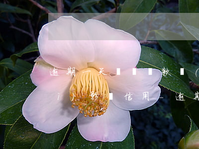 逾期一天繳納稅款會(huì)不會(huì)影響信用-逾期一天繳納稅款會(huì)不會(huì)影響信用貸款