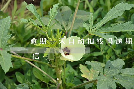 逾期一天自动扣钱吗(逾期一天自动扣钱吗微信)