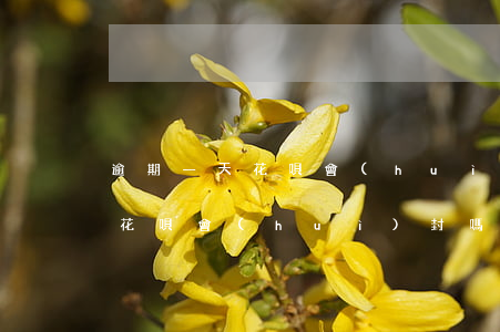 逾期一天花唄會(huì)封嗎-逾期一天花唄會(huì)封嗎