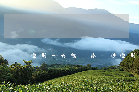 逾期一天被轟炸(讀秒逾期多久開始轟炸)