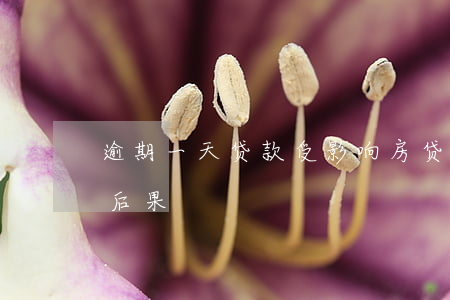 逾期一天贷款受影响(房贷逾期一天会有什么后果)