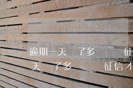 逾期一天還了多長時間征信才消失-逾期一天還了多長時間征信才消失了